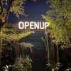 OPENUP(3)